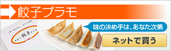 餃子プラモ